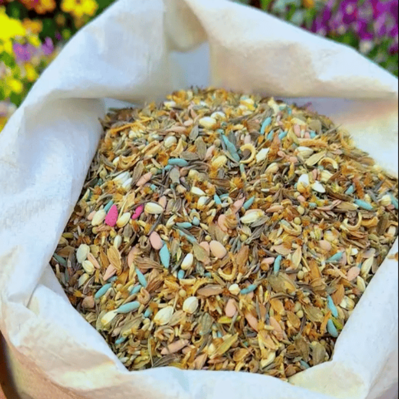 GardenSeeds - Let At Dyrke Blandet Blomsterhave Variation Farverige Blomsterfrø