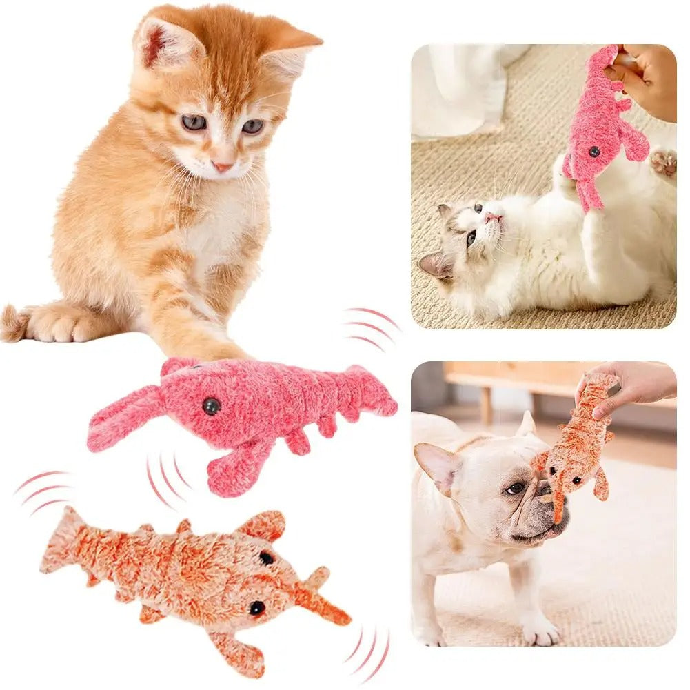 DogCatFri™ PlushToy - Interaktivt Plysjleketøy Til Kjæledyr