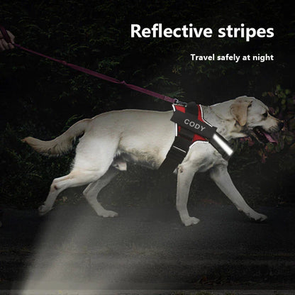 DogFri™ DogHarness: Ingen trekk Pustende Hundesele