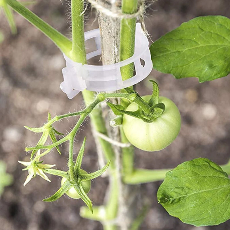 PlantClips - Gjenbrukbar Plantestøtte Og Festeklips
