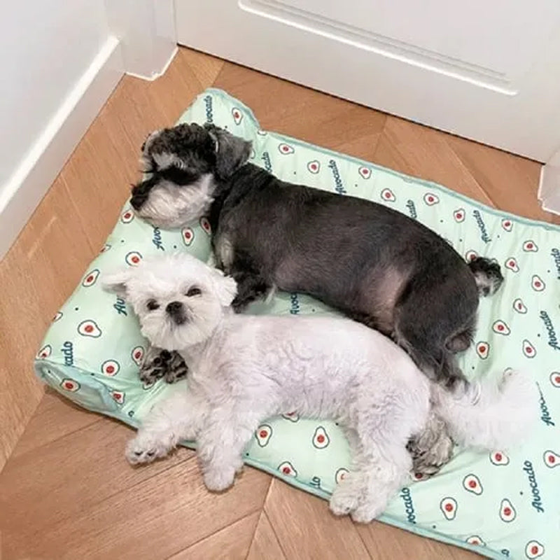 DogCatFri™ CoolMat: Kjølematte For Hunder Og Katter