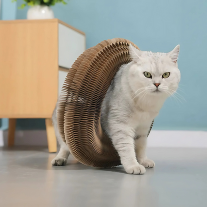 Catfri® - Katten Klør