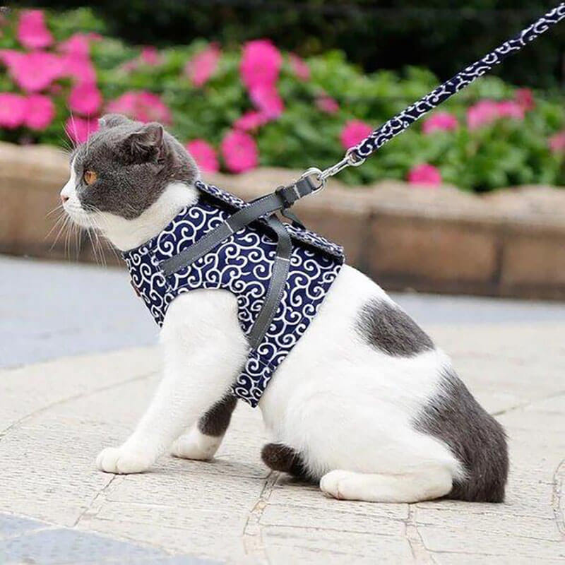 DogCatFri™ Leash - Anti-Break Away Vestsele og Båndsett