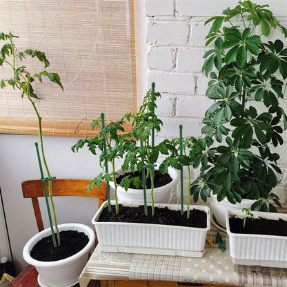 PlantSupport - Plantestøtte Innsats Stativ