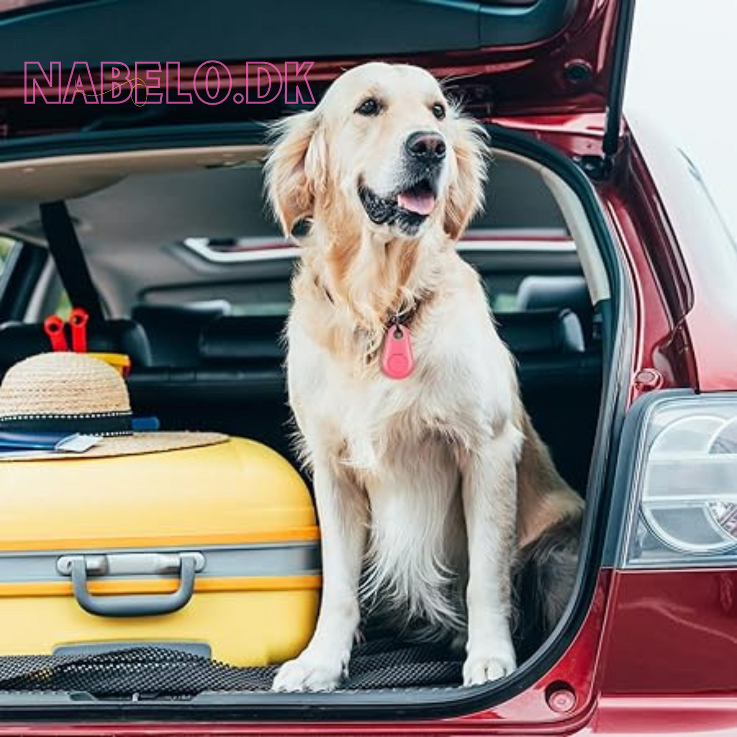 DogCatFri™ PetTracker - Bluetooth Trådløs kjæledyrsporer