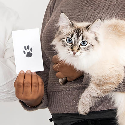 DogCatFri™ PawPrint: Kjæledyr Poteramme Og Avtrykkssett