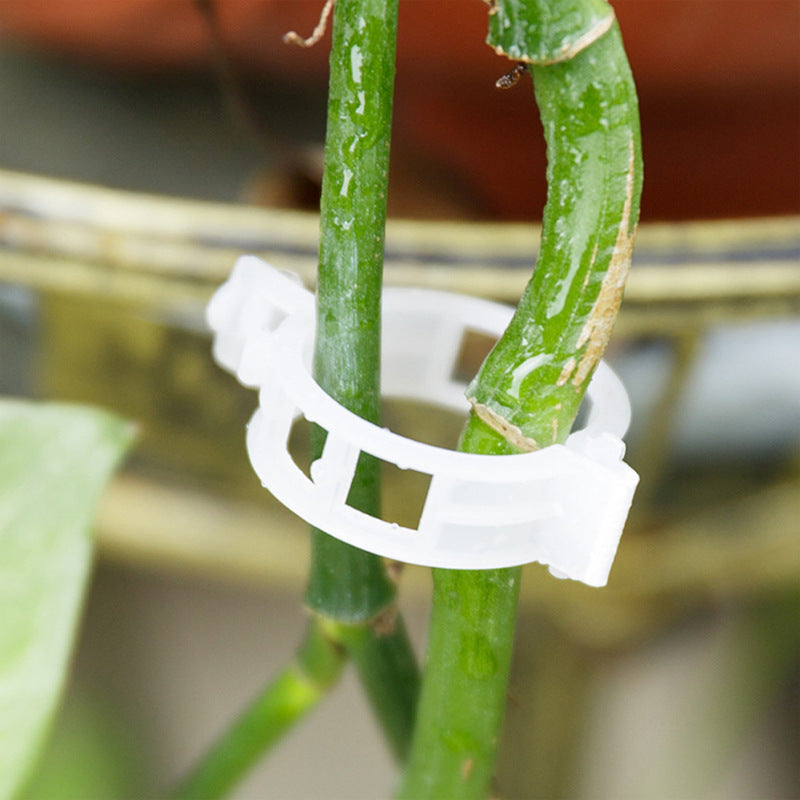 PlantClips - Gjenbrukbar Plantestøtte Og Festeklips