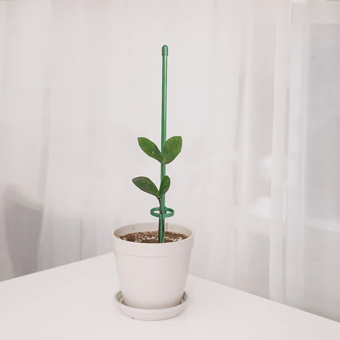 PlantSupport - Plantestøtte Innsats Stativ