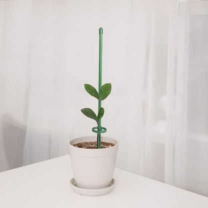 PlantSupport - Plantestøtte Innsats Stativ