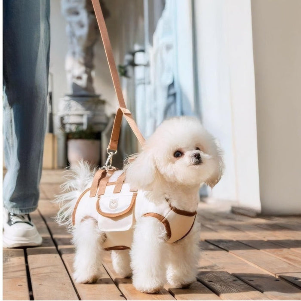 DogCatFri™ PetSling: Ventilert Crossbody Reiseklar Kjæledyrslynge