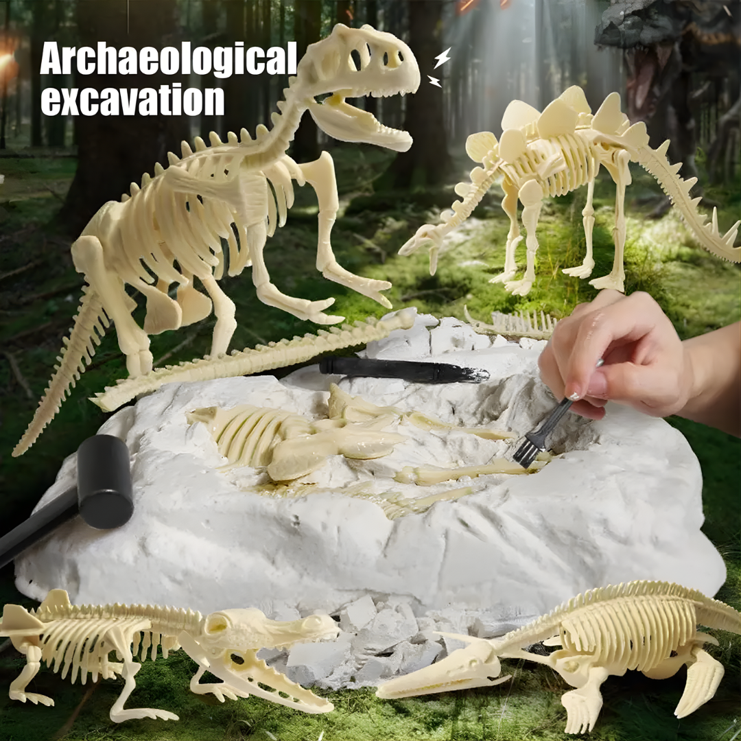 Kletshuts™ SkeletonDinosaur: Pedagogisk Skjelett Dinosaur Fossil Gravesett