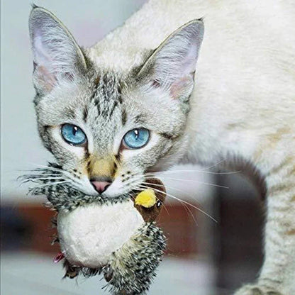 Catfri® BirdToy: Interaktiv Kvitrende Fugleleke Til Katter