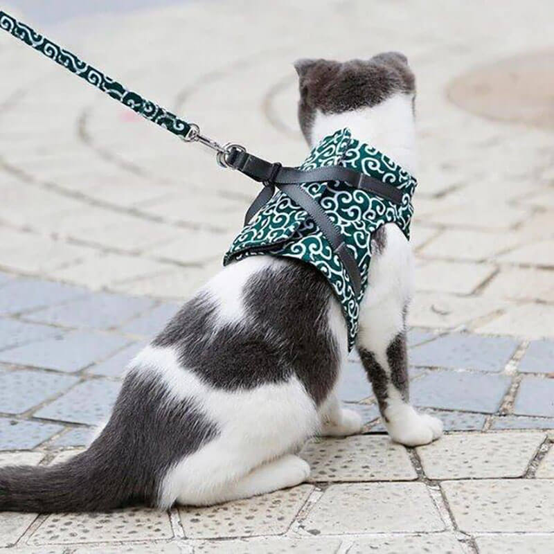 DogCatFri™ Leash - Anti-Break Away Vestsele og Båndsett
