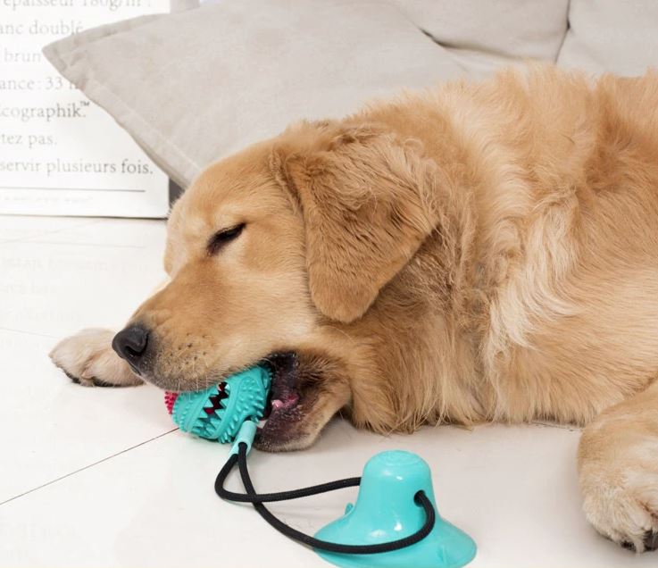 DogFri™ TugToy - Interaktivt Trekkeleke Med Primal Sugekraft