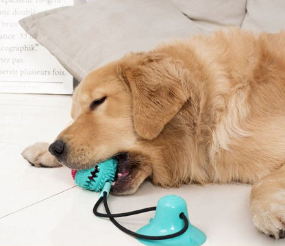 DogFri™ TugToy - Interaktivt Trekkeleke Med Primal Sugekraft