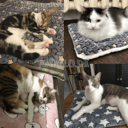 DogCatFri™ PetBlanket - Koselig Kjæledyrs Komfort Teppe