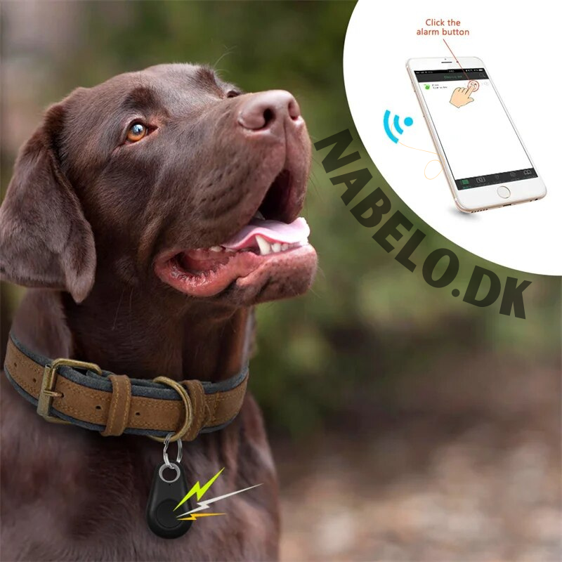 DogCatFri™ PetTracker - Bluetooth Trådløs kjæledyrsporer