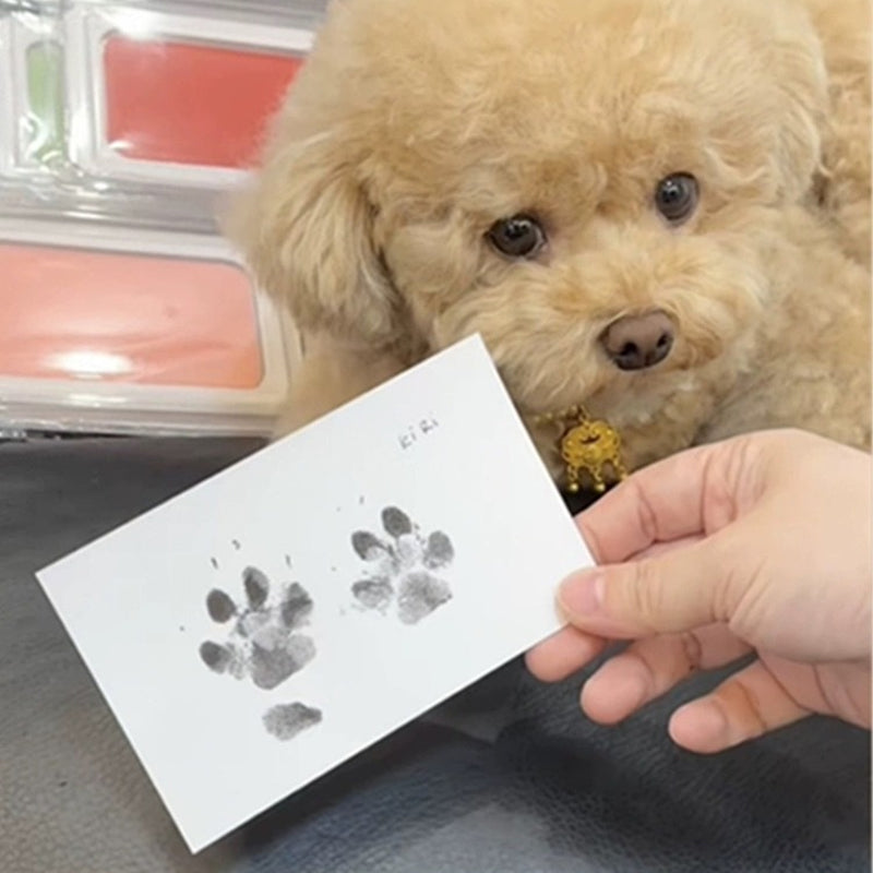 DogCatFri™ PawPrint: Kjæledyr Poteramme Og Avtrykkssett