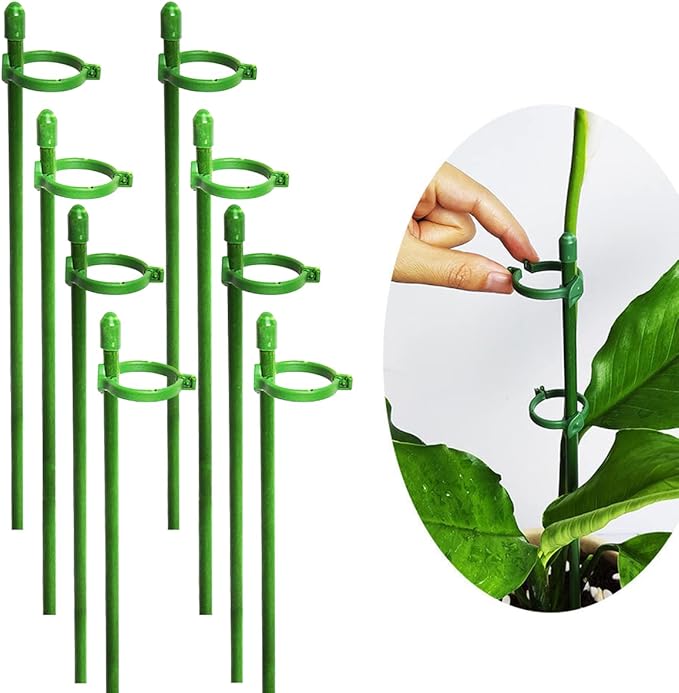 PlantSupport - Plantestøtte Innsats Stativ