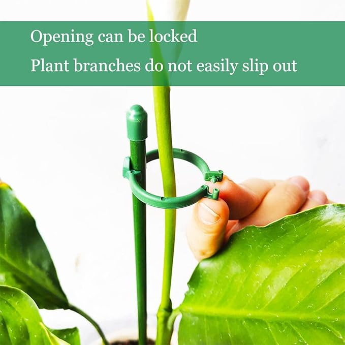 PlantSupport - Plantestøtte Innsats Stativ