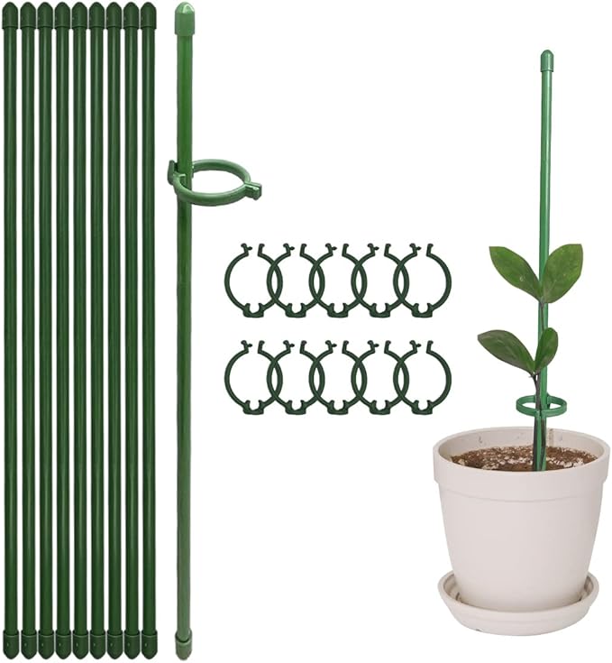 PlantSupport - Plantestøtte Innsats Stativ