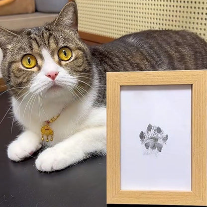 DogCatFri™ PawPrint: Kjæledyr Poteramme Og Avtrykkssett