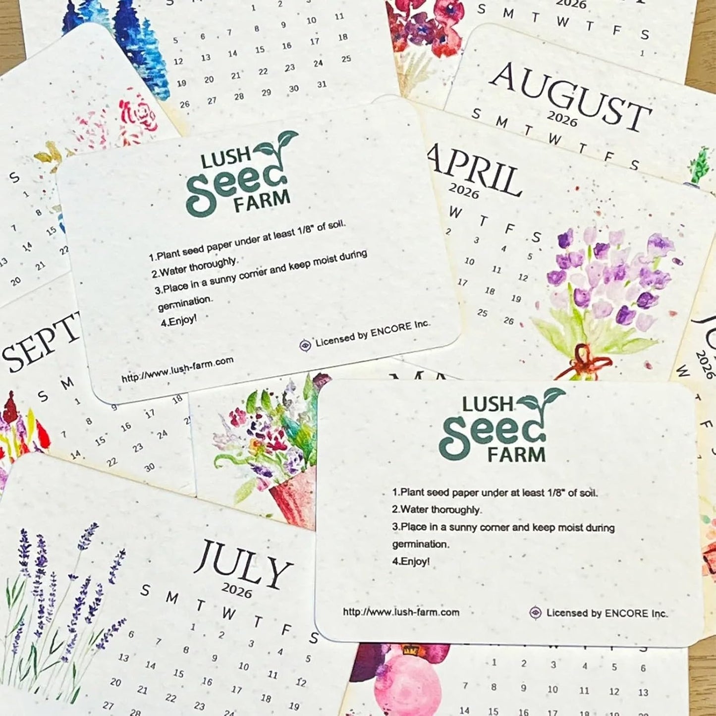 PaperSeeds: Miljøvennlig Kjærlighet 2026 Papir Frø Kalender