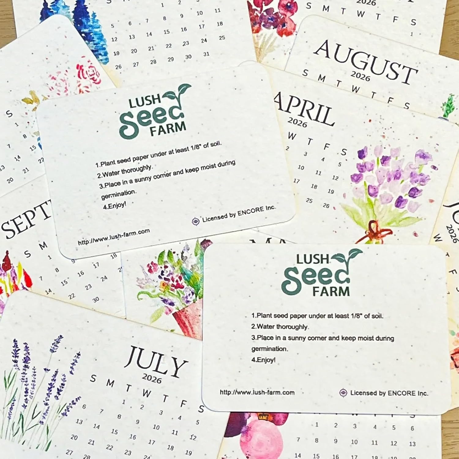PaperSeeds: Miljøvennlig Kjærlighet 2026 Papir Frø Kalender
