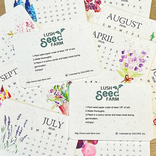 PaperSeeds: Miljøvennlig Kjærlighet 2026 Papir Frø Kalender