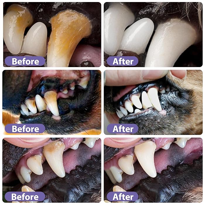 DogCatFri™ DentalPet: Kjæledyr Dental reparasjon og rengjøringsgel
