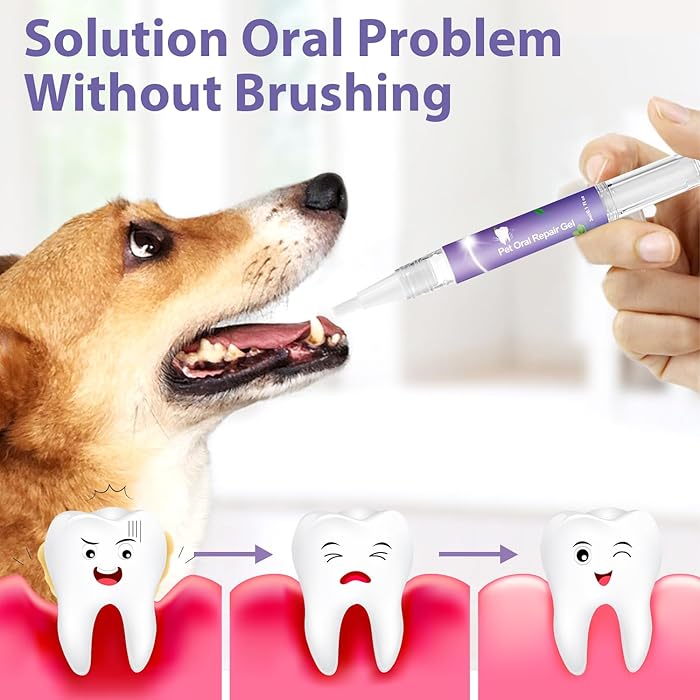 DogCatFri™ DentalPet: Kjæledyr Dental reparasjon og rengjøringsgel