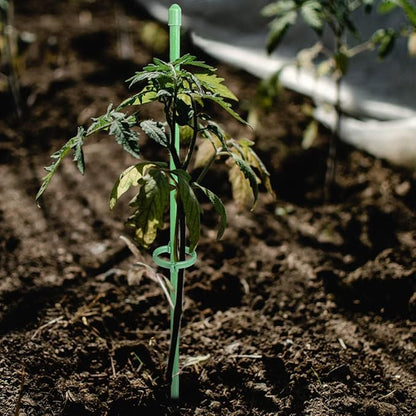 PlantSupport - Plantestøtte Innsats Stativ