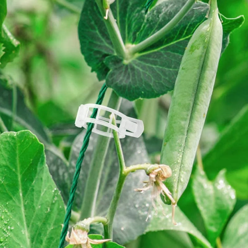 PlantClips - Gjenbrukbar Plantestøtte Og Festeklips
