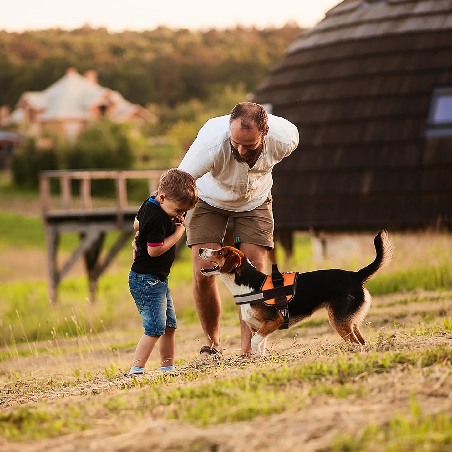 DogFri™ DogHarness: Ingen trekk Pustende Hundesele