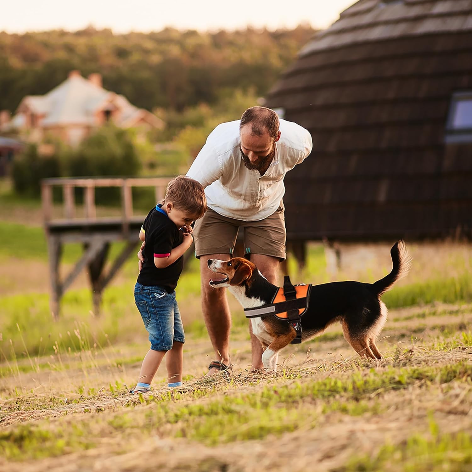 DogFri™ DogHarness: Ingen trekk Pustende Hundesele