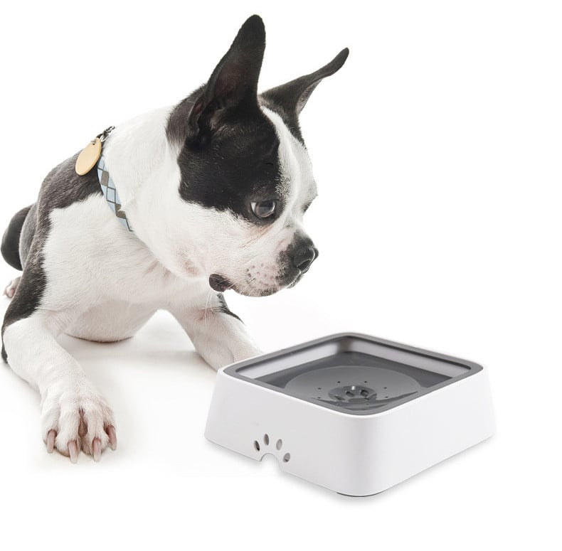 DogFri™ PetWater: Ingen Sprut Kjæledyr Vannfontene