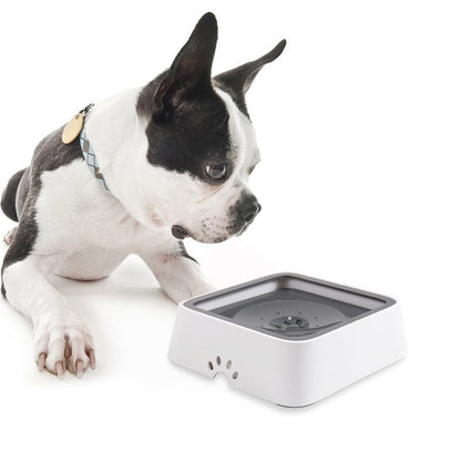 DogFri™ PetWater: Ingen Sprut Kjæledyr Vannfontene