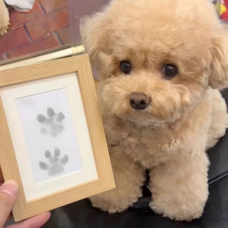 DogCatFri™ PawPrint: Kjæledyr Poteramme Og Avtrykkssett