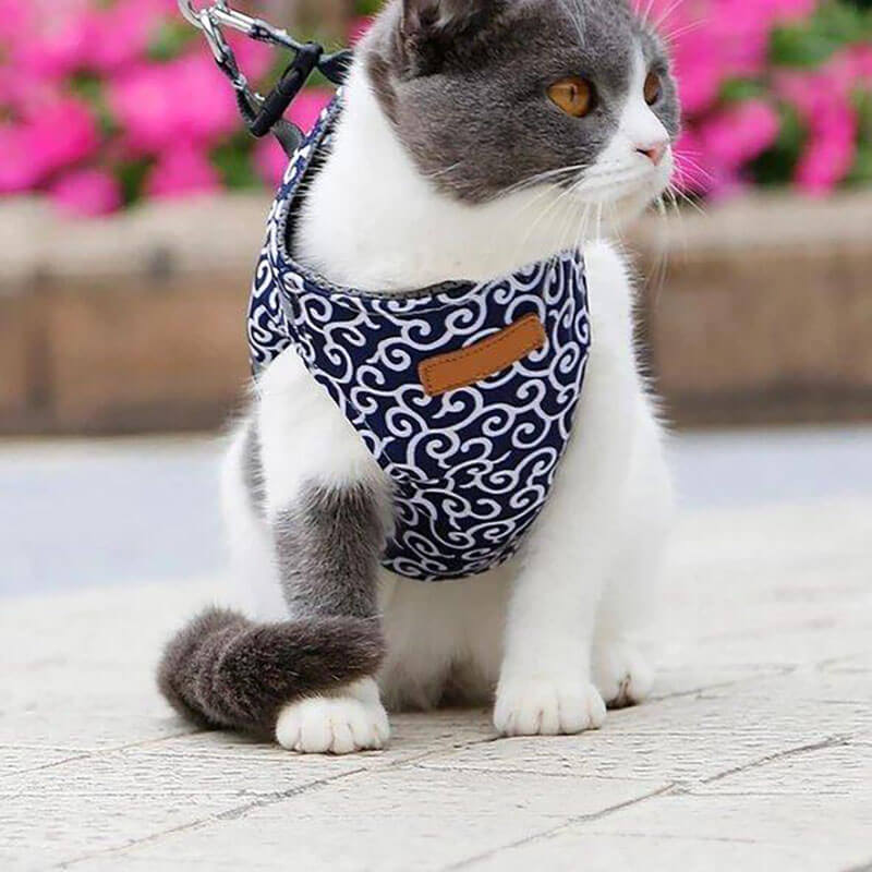 DogCatFri™ Leash - Anti-Break Away Vestsele og Båndsett