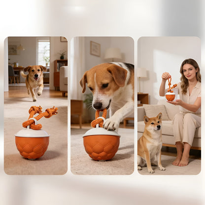 DogFri™ SmartBall: Interaktiv Forhindrings-Undvigelse Genopladelig Trænings Smart Bold
