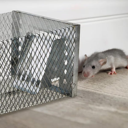 Globetrek° MouseTrap: Genanvendelig Giftfri Sikker Og Menneskelig MuseFælde