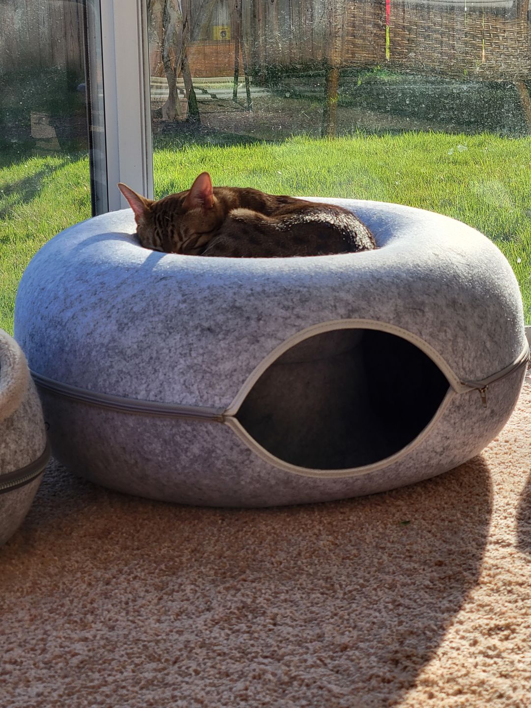 Catfri® Hotel - Kattetunnelseng
