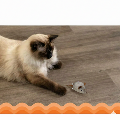 Catfri® SqueakyMouse 1+1 GRATIS: Realistisk Interaktiv Plysj Katteleke Pipende Mus