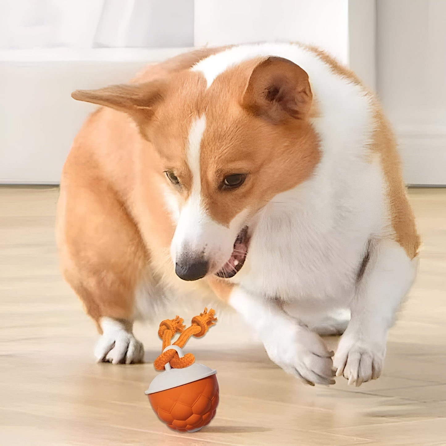 DogFri™ SmartBall: Interaktiv Forhindrings-Undvigelse Genopladelig Trænings Smart Bold