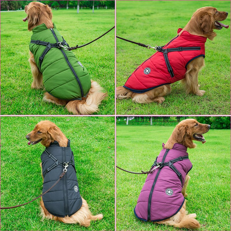 DogFri™ DogJacket: Vanntett Vinter Hundejakke