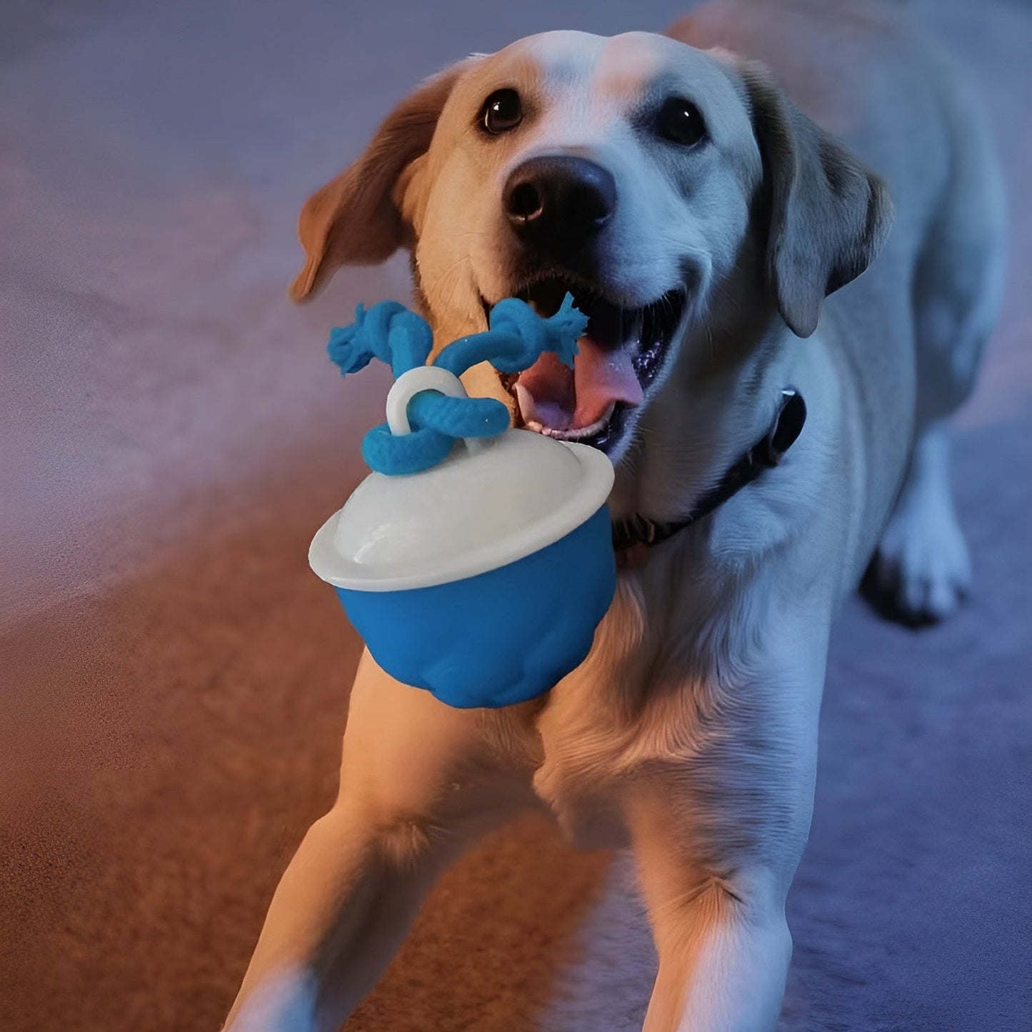 DogFri™ SmartBall: Interaktiv Forhindrings-Undvigelse Genopladelig Trænings Smart Bold