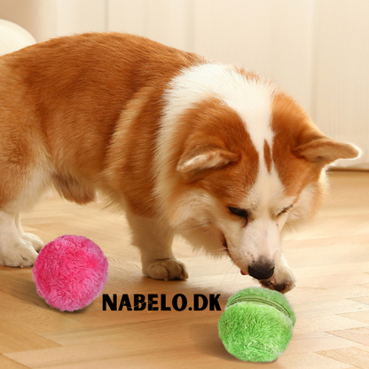 DogFri™ ActiveBall - Automatisk Rullende Kule Mot Angst