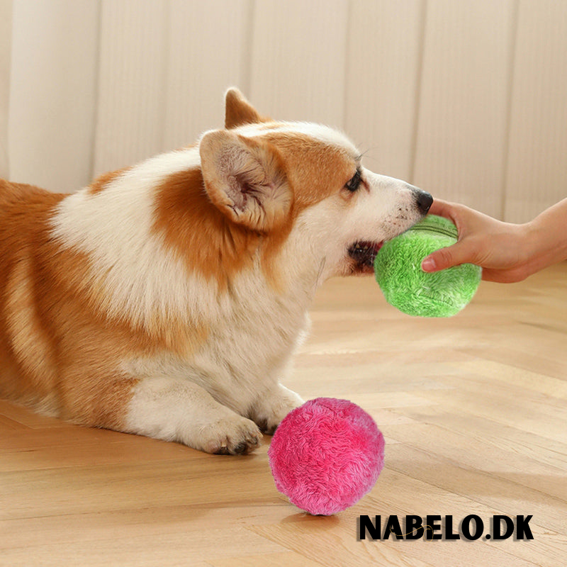 DogFri™ ActiveBall - Automatisk Rullende Kule Mot Angst