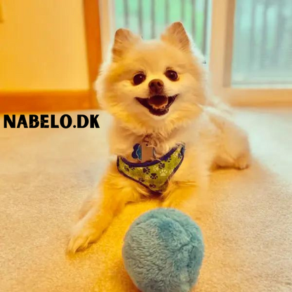 DogFri™ ActiveBall - Automatisk Rullende Kule Mot Angst