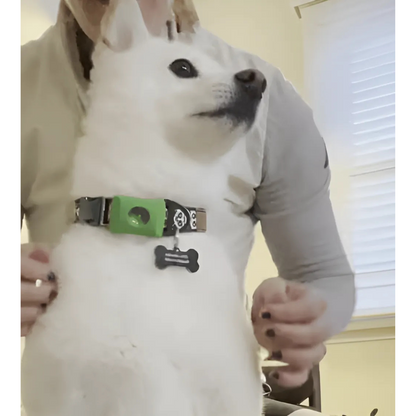 DogCatFri™ Anti-FleaPendant 1+1 GRATIS: Anti-Flått- Og Loppe-Anheng Beskyttelse